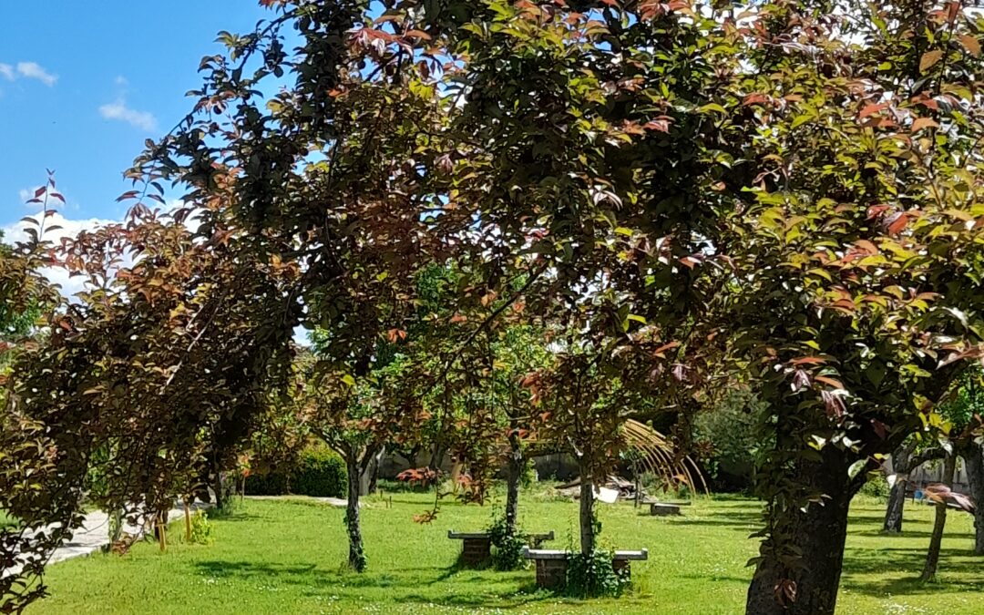 Centre missionnaire SEMD à Espinosa de Henares, Espagne