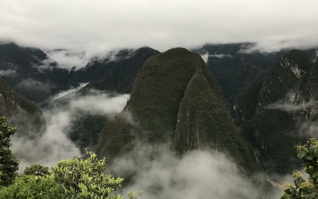 La vida interior que la Creación me regala